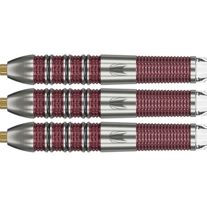 Target Stephen Bunting 95K 95% Swiss